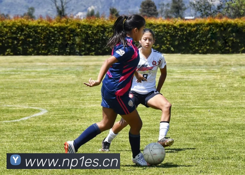 云顶集团官网登录入口服务体系